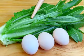 油麦菜和鸡蛋这做法还是第一次见，出锅口感香辣清爽，营养又好吃视频封面