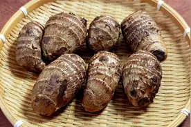 芋头大量上市，教你个特色做法，鲜香美味，营养解馋，全家都爱吃视频封面