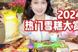 2024年度热门雪糕大赏视频封面