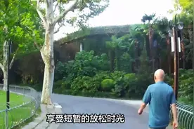 建议打工人周末在公园待20分钟视频封面