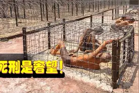 这里死刑是奢望！全球最恐怖监狱萨尔瓦多恶魔岛内部画面首次曝光视频封面