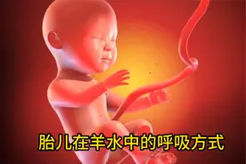 羊水中的奇迹：胎儿如何在母体内进行呼吸和皮肤保护？视频封面