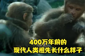 400万年前人类祖先长什么样子，女性原始人为了得到首领争风吃醋视频封面