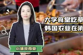 多吃一片肉被围攻，韩国大学草料食堂背后，是被自杀的韩国农业视频封面