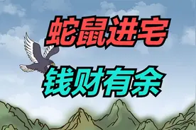 老话“蛇鼠进宅，钱财有余”，啥意思？家里进老鼠有啥预兆？视频封面