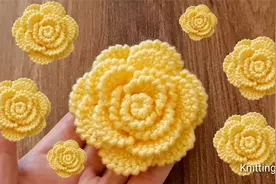 好看的玫瑰花别致钩织教程视频封面