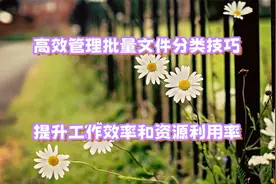 管理分类大量文件技巧，提升工作效率和资源利用率！视频封面