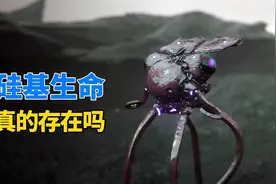 不需要水和氧气，宇宙中的硅基生命，比人类更高级？视频封面