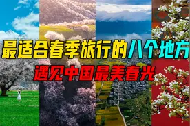 春天旅行的必去的8个地方，遇见中国最美春光，你去过哪几个呢？视频封面