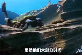 地球初代霸主巨蟹还有后代，蝎子毒针产生的毒液为何比黄金还贵？