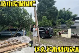 阿贵低成本改造小院，准备院子做个木围栏，这么多木材都利用起来视频封面