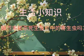 蘸芥末能杀死生鱼片中的寄生虫吗？视频封面