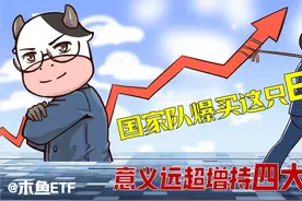 “国家队”爆买这只ETF，力度和意义远超增持四大行！视频封面