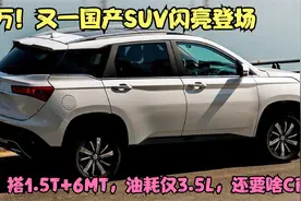 5万！又一国产SUV闪亮登场，搭1.5T+6MT，油耗仅3.5L，还要啥CRV视频封面