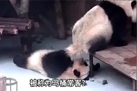 三秒钟教你学会山东话视频封面