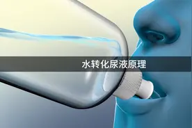 喝下去的水是如何变成尿的？带你看人体工作原理视频封面