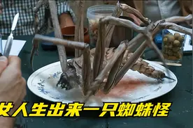 女人一觉醒来竟怀上了一只蜘蛛怪视频封面