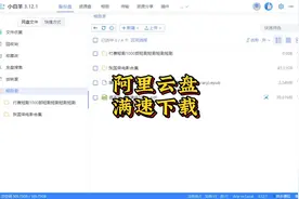 起飞，稳定不限速，即刻卸载官方！阿里云盘 满速下载 不能停视频封面