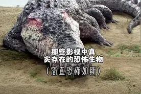 那些影视中真实存在的恐怖生物，最后一个简直恐怖如斯#野牦牛视频封面