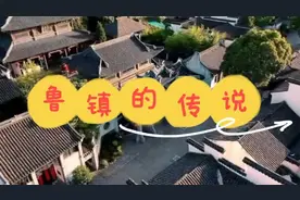 鲁镇的传说 智慧和勇气的力量 不同的孔乙己 不同的阿Q视频封面