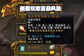 魔兽WLK：只有新服玩家才有的尴尬，刷到双风脸也做不了风剑图片