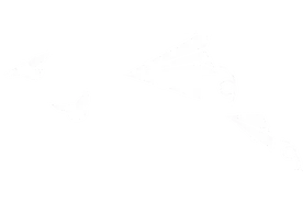 【网警普法】受到网络侵害不要慌，这样保存电子数据！图片