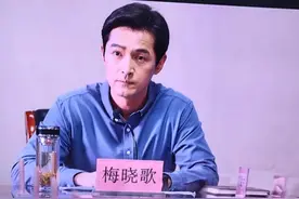 《县委大院》梅书记下定决心，不讲人情，关闭污染企业图片