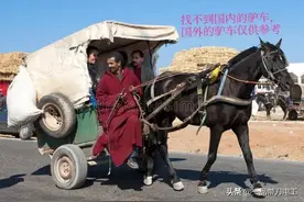 斩龙剑的传说图片