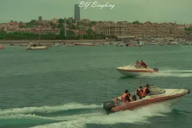 十二生肖系列故事之青囊五指猪（上）图片