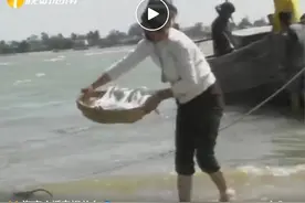 海口新埠岛这个烂地方，现在越来越灿烂了图片
