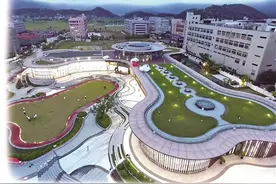 平阳，全国首个“宠物友好城市”！图片