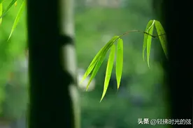 刘禹锡经典诗词12首：一代诗豪，千古名作，一首一名句图片