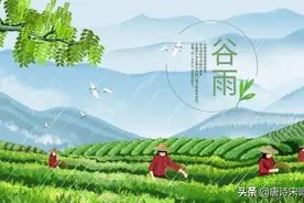 谷雨时节景象新图片