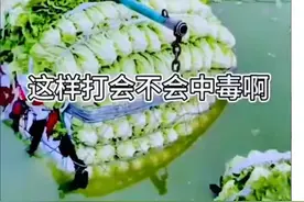 “毒白菜流入市场”，一句“不管他”道出了没人性！图片