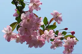 偷偷想你，却不打扰你，一份真爱，即使没有结局，我也无悔无怨图片
