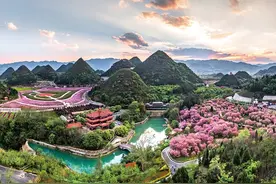 市州联动报道⑦丨黔西南：春风吹暖“花经济”图片