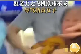 东北老太太飞机上想换座位，被拒后疯狂骂人，最后还是调整了座位图片