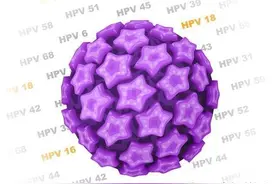 hpv6阳性一定会长疣体吗图片