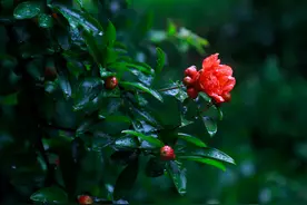 时光若温柔，愿你深深懂得，岁月若凉薄，愿你淡淡释怀图片