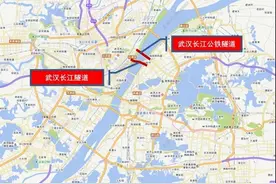 今起，这类车在武汉市内通行规则调整图片