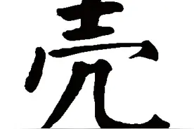 会说不会写的字（15）——壳图片
