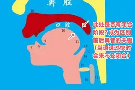 呼吁合并in和ing这两个韵母，以尊重汉语发音演变现实图片