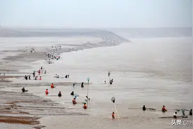 小浪底水库一年一调沙，中下游出现“流鱼”，黄河生态陷入困局？图片