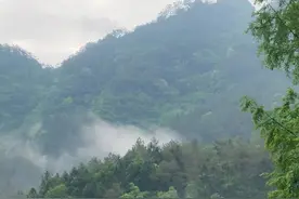 茶酒六养：解决新生代喝酒怕伤身的痛点图片