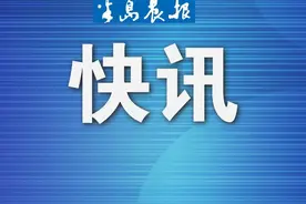 “骗子网友”从境外邮寄包裹要女子支付“清关费”图片