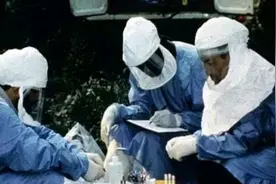 印度人骨贸易：明码标价、任人挑选，死人比活人更值钱图片