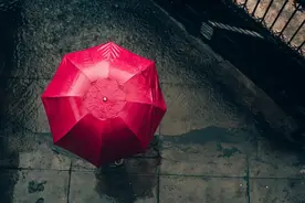 雨景大片拍摄思路，唯美意境让你爱上雨天图片