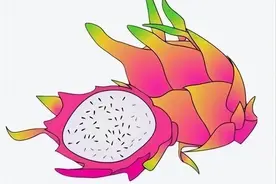 八月“圣果”熟啦！带你走进火龙果世界寻找浪漫奇观！图片