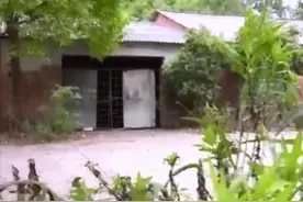 2018年湖北一养鸡场泥土变白色，一条寻常线索，牵出两亿惊天大案图片
