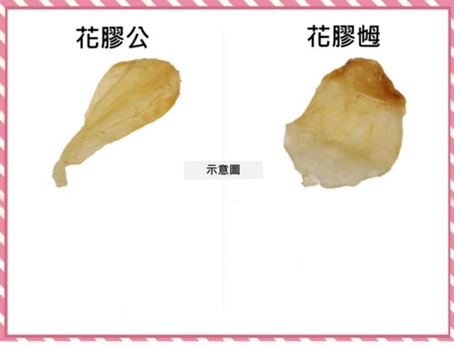 龟板炖花胶 2026年龟板炖花胶炖什么好吃